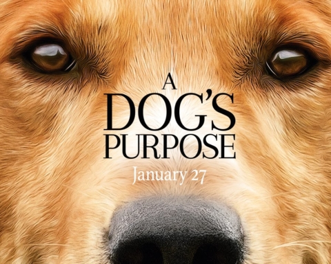 A Dogs purpose controversy